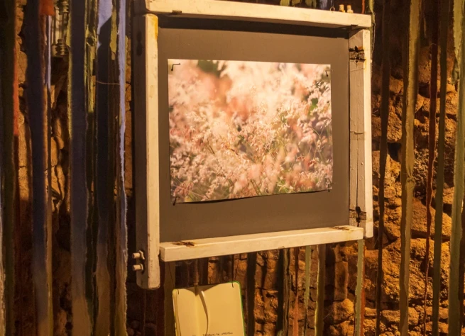 Past Exhibitions: What We've Showcased