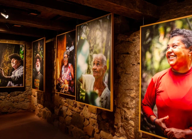 Past Exhibitions: What We've Showcased