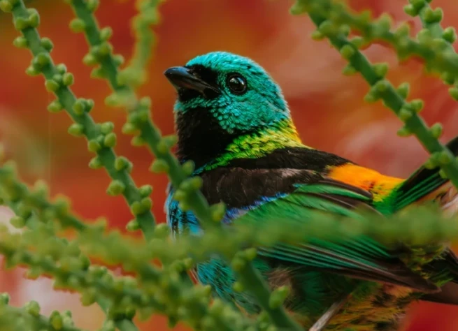 Open experiences <br /><strong>for all</strong>