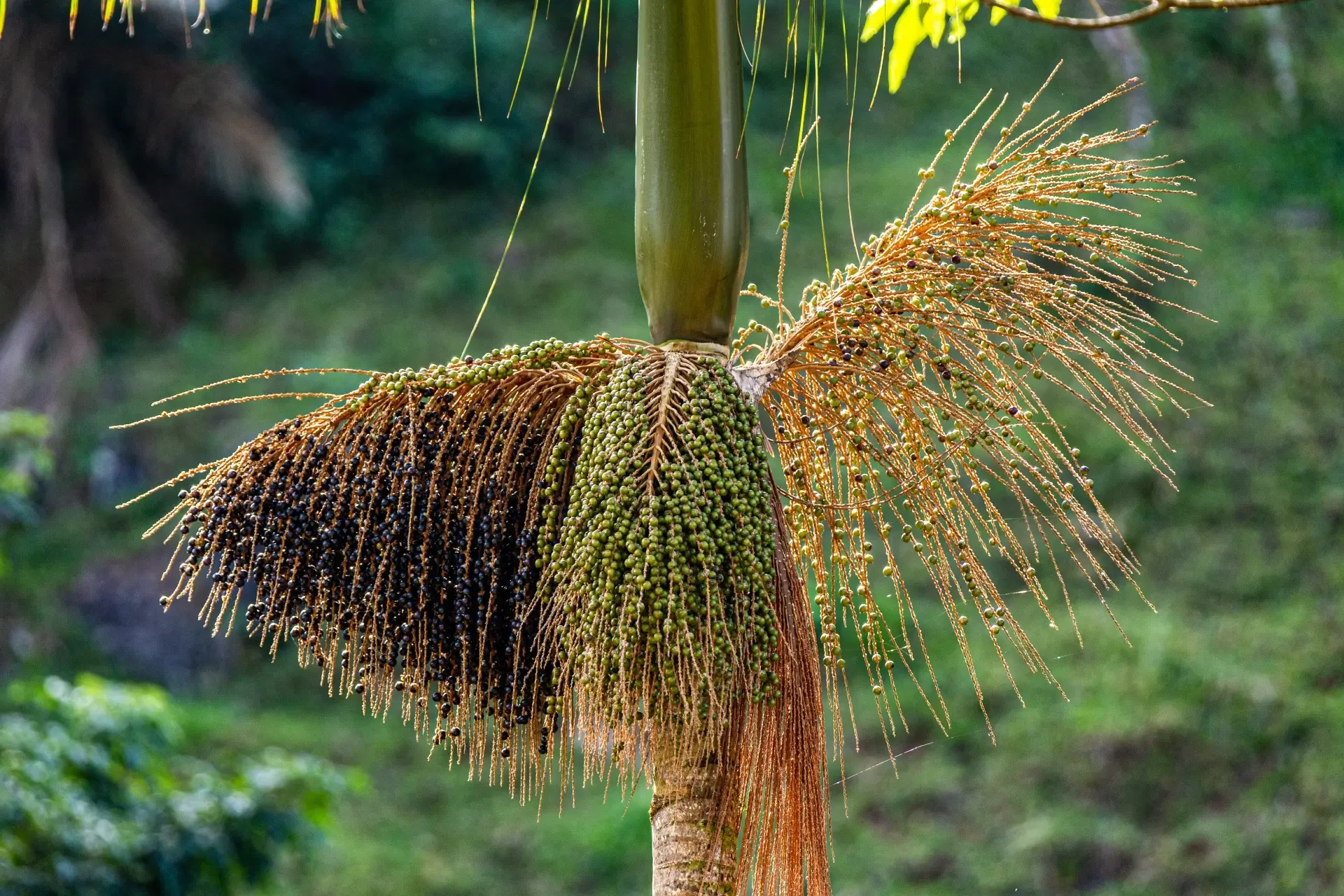 A day of emotion and connection