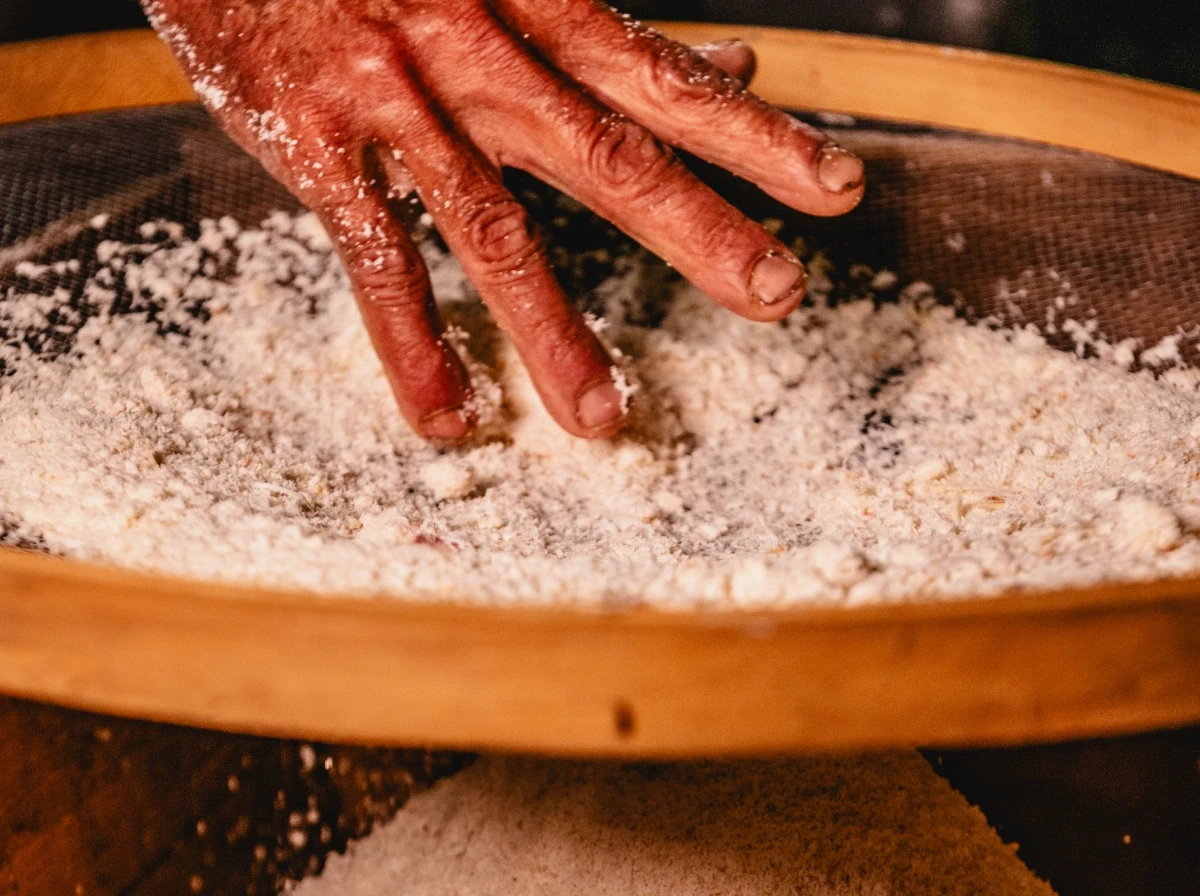 VISIT THE EXHIBITION BY APPOINTMENTLABORS OF THE LAND: CASSAVA