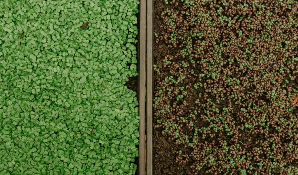 Sustainable Technologies