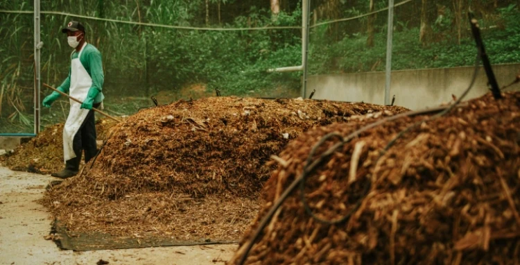 Composting and Nutrient Cycle