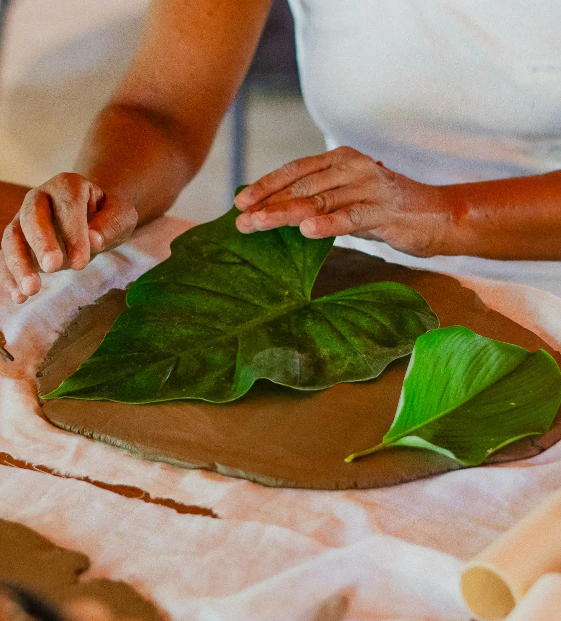 Carimbos bot&acirc;nicos