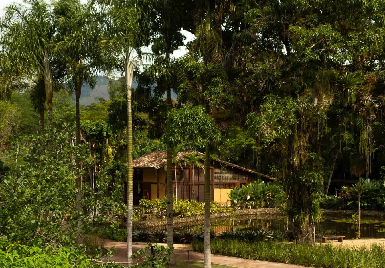 Experiências de imersão na floresta: