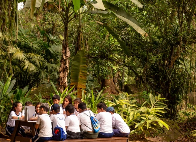 <strong>Viv&ecirc;ncias</strong>