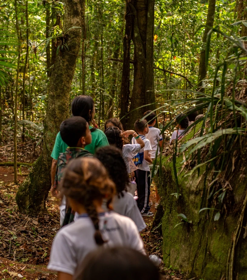 Para escolas e grupos educativos