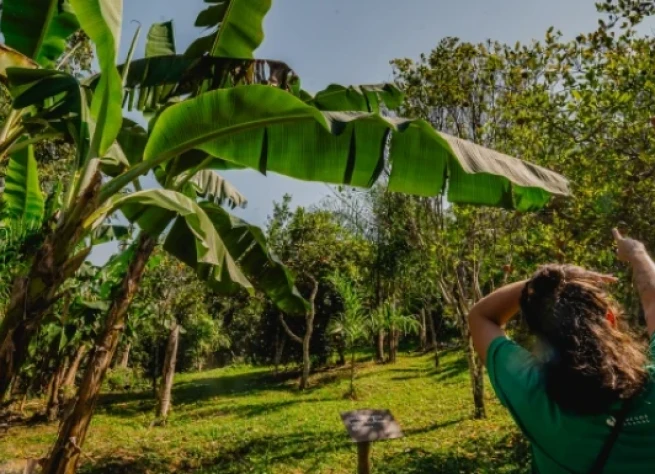 <strong>O percurso inclui:</strong>