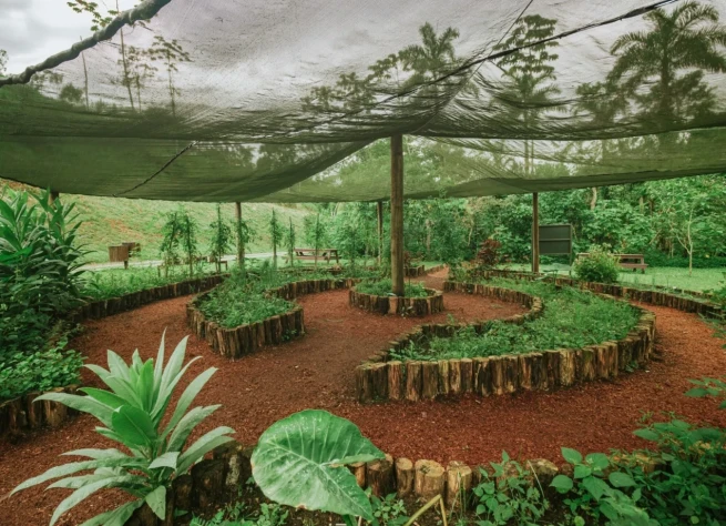 <strong>O percurso inclui:</strong>