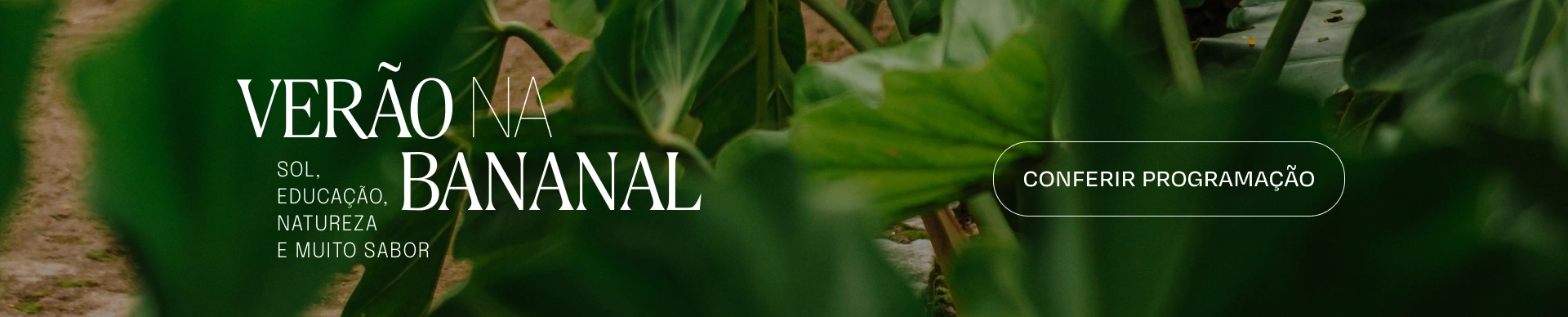 Verão na Bananal