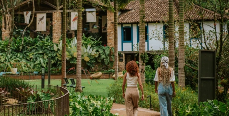 Visita Mediada Completa