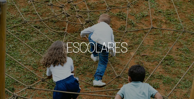 Visitas Escolares